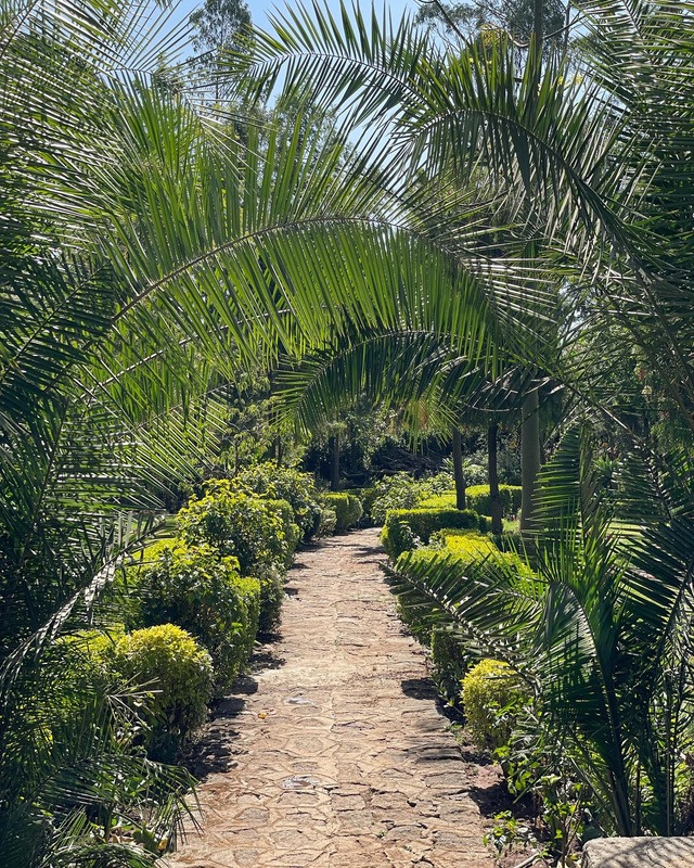 A narrow stone path through the green garden at Wanza
